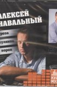 Навальный: гроза жуликов и воров