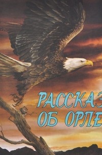 Рассказ об орле