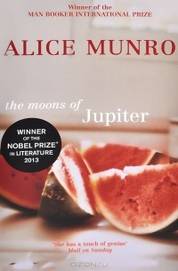 The Moons of Jupiter