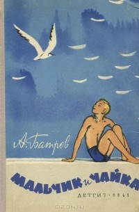 Мальчик и чайка