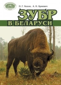  - Зубр в Беларуси