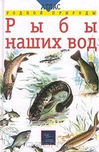  Автор не указан - Рыбы наших вод