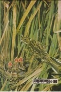 Юный натуралист, № 8, 1975