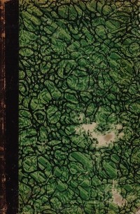 В. Г. Белинский. Его жизнь и переписка