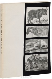 Трагедия диких животных