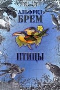 Альфред Эдмунд Брем - Птицы. В 2 томах. Том 2