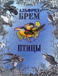 Альфред Эдмунд Брем - Птицы. В 2 томах. Том 2