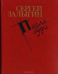 Сергей Залыгин - После бури. Книга 1