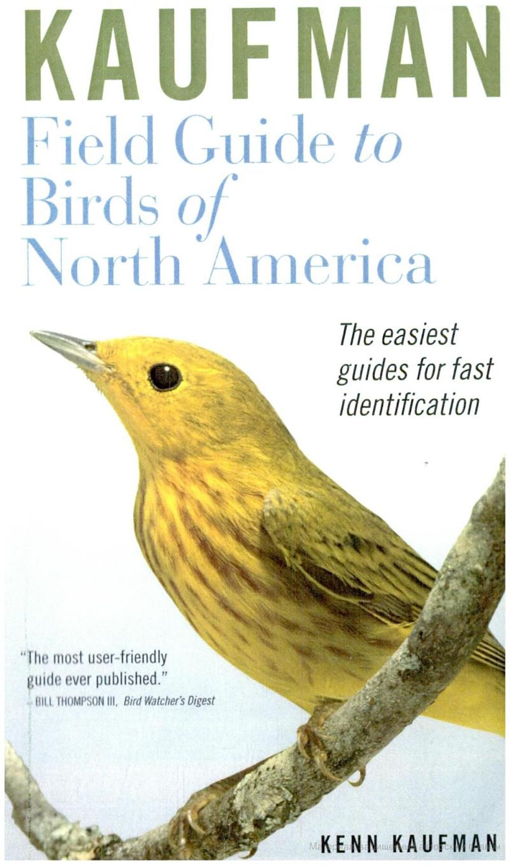 Птицы Северной Америки Фото