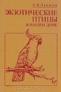 Елизавета Лукина - Экзотические птицы в нашем доме