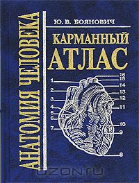 Юрий Боянович - Анатомия человека. Карманный атлас