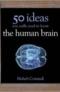 Мохеб Костанди - 50 Human Brain Ideas You Really Need to Know (50 Ideas You Really Need to Know series)