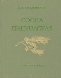 Александр Колесников - Сосна пицундская и близкие к ней виды