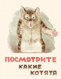  - Посмотрите, какие котята!