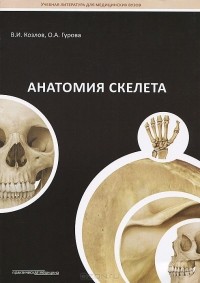  - Анатомия скелета. Учебное пособие