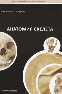  - Анатомия скелета. Учебное пособие
