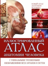 Ричард Уолкер - Иллюстрированный атлас анатомии человека