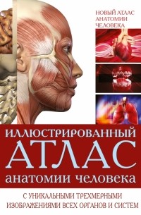 Ричард Уолкер - Иллюстрированный атлас анатомии человека