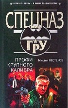 Михаил Нестеров - Профи крупного калибра