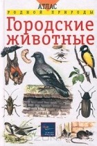  - Городские животные