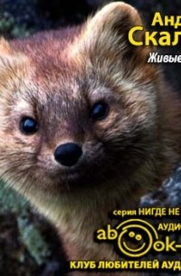 Андрей Скалон - Живые деньги