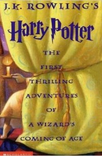 The Harry Potter Collection: His First Three Years at Hogwarts