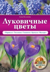 Белякова А.В. - Луковичные цветы