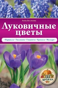 Белякова А.В. - Луковичные цветы