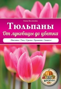 Белякова А.В. - Тюльпаны. От луковицы до цветка