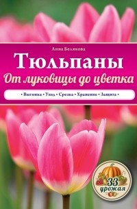 Белякова А.В. - Тюльпаны. От луковицы до цветка
