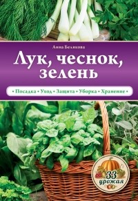 Белякова А.В. - Лук, чеснок, зелень