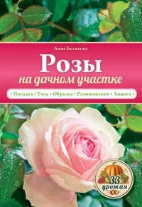 Белякова А.В. - Розы на дачном участке