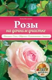 Белякова А.В. - Розы на дачном участке