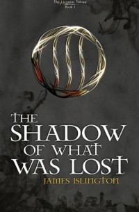 The Shadow Of What Was Lost