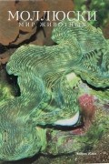 Моллюски