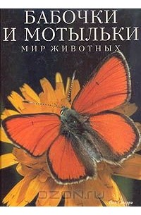Пол Стерри - Бабочки и мотыльки