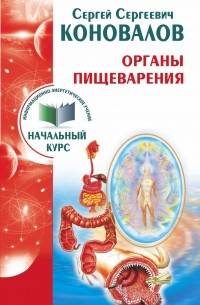 Органы пищеварения. Информационно-энергетическое Учение. Начальный курс