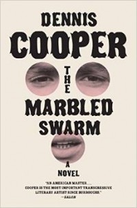 Dennis Cooper - The Marbled Swarm