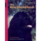 Emmy Bruno - The Newfoundland