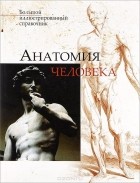  - Анатомия человека. Большой иллюстрированный справочник
