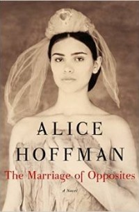 Alice Hoffman - The Marriage of Opposites