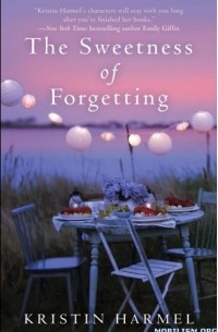 Kristin  Harmel - The Sweetness of Forgetting
