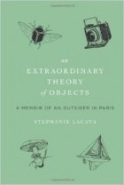 Stephanie LaCava - An Extraordinary Theory of Objects: A Memoir of an Outsider in Paris