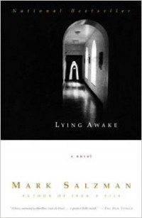 Марк Зальцман - Lying Awake (Vintage Contemporaries)