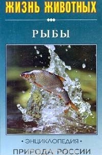 Екатерина Васильева - Рыбы