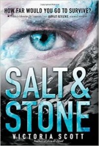 Victoria Scott - Salt & Stone