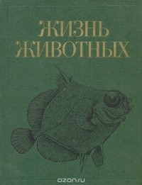 без автора - Жизнь животных в 7 томах. Том 4. Ланцетники. Круглоротые. Хрящевые рыбы. Костные рыбы
