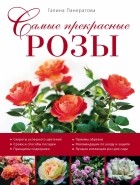 Панкратова Г.М. - Самые прекрасные розы