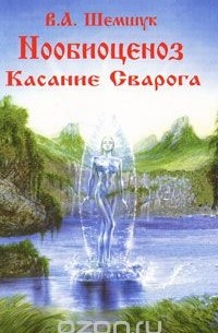 Владимир Шемшук - Нообиоценоз. Касание Сварога