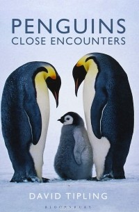 Дэвид Типлинг - Penguins: Close Encounters